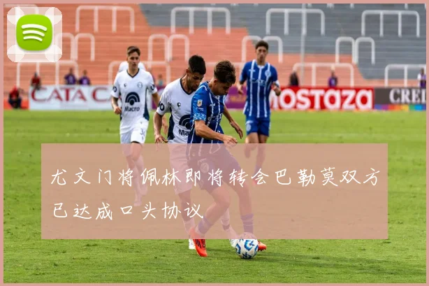 尤文门将佩林即将转会巴勒莫双方已达成口头协议
